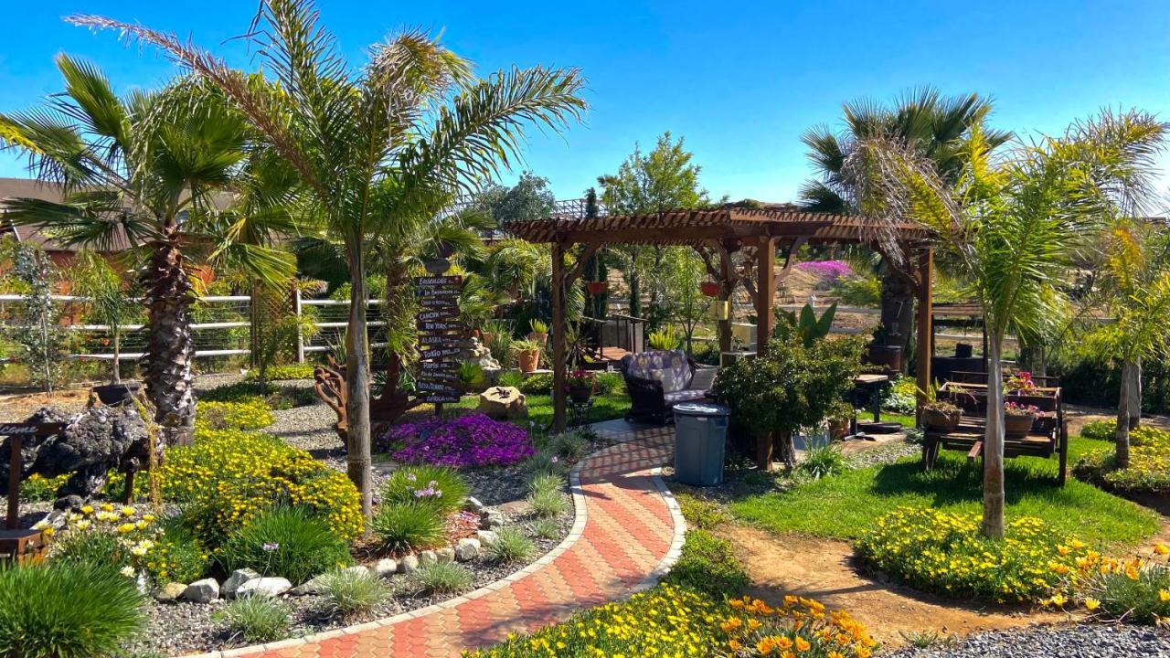 Paraiso Del Valle Ensenada Zewnętrze zdjęcie